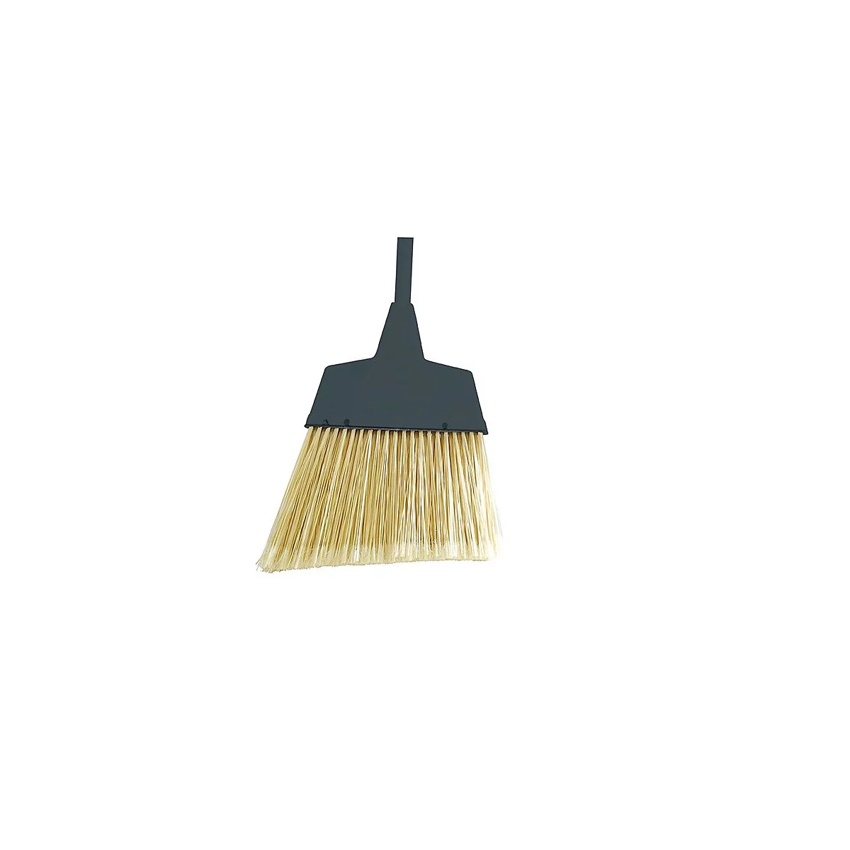 Un balai avec une tête noire et des poils clairs, sur fond blanc.