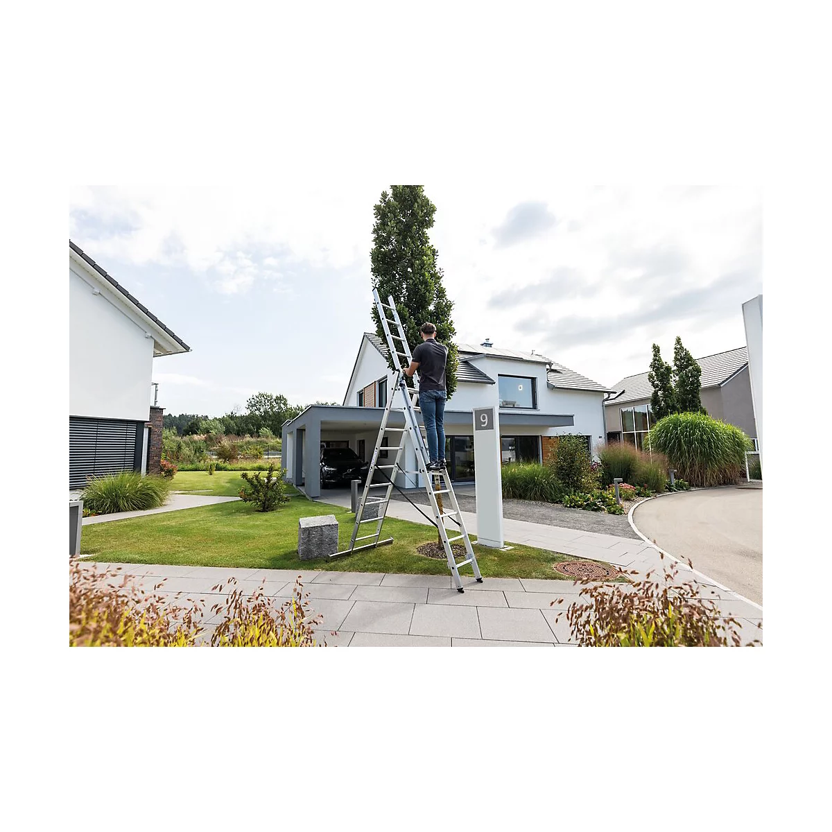 Eine Person steht auf einer Leiter, die an einem Baum vor einem Haus angelehnt ist.