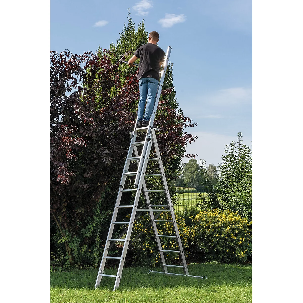 Man op een ladder die een heg in de tuin snoeit. Hoge zilveren ladder, groene en rode planten.