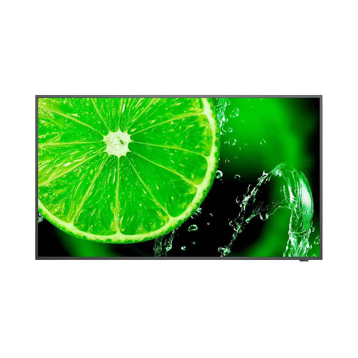 NEC Essential Large Format Display MultiSync E438, LCD 43', 4K UHD mit 3840 x 2160 px, IPS-Panel