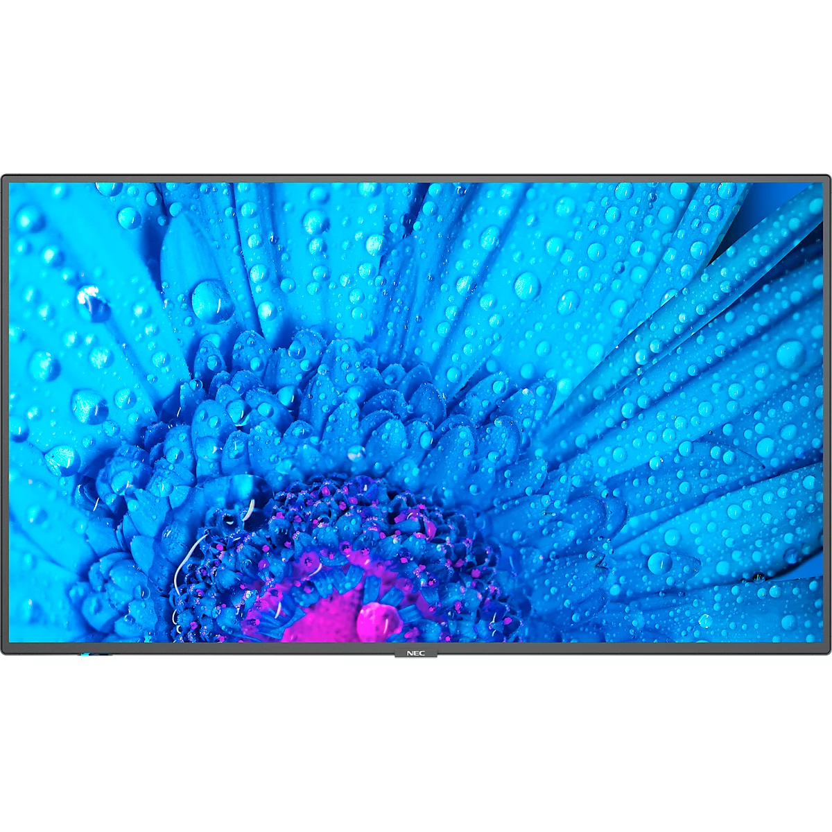 NEC Message Large Format Display MultiSync M431, LCD 43', 4K UHD mit 3840 x 2160 px, entspiegelt, IPS-Panel, 24/7 Certified Operation