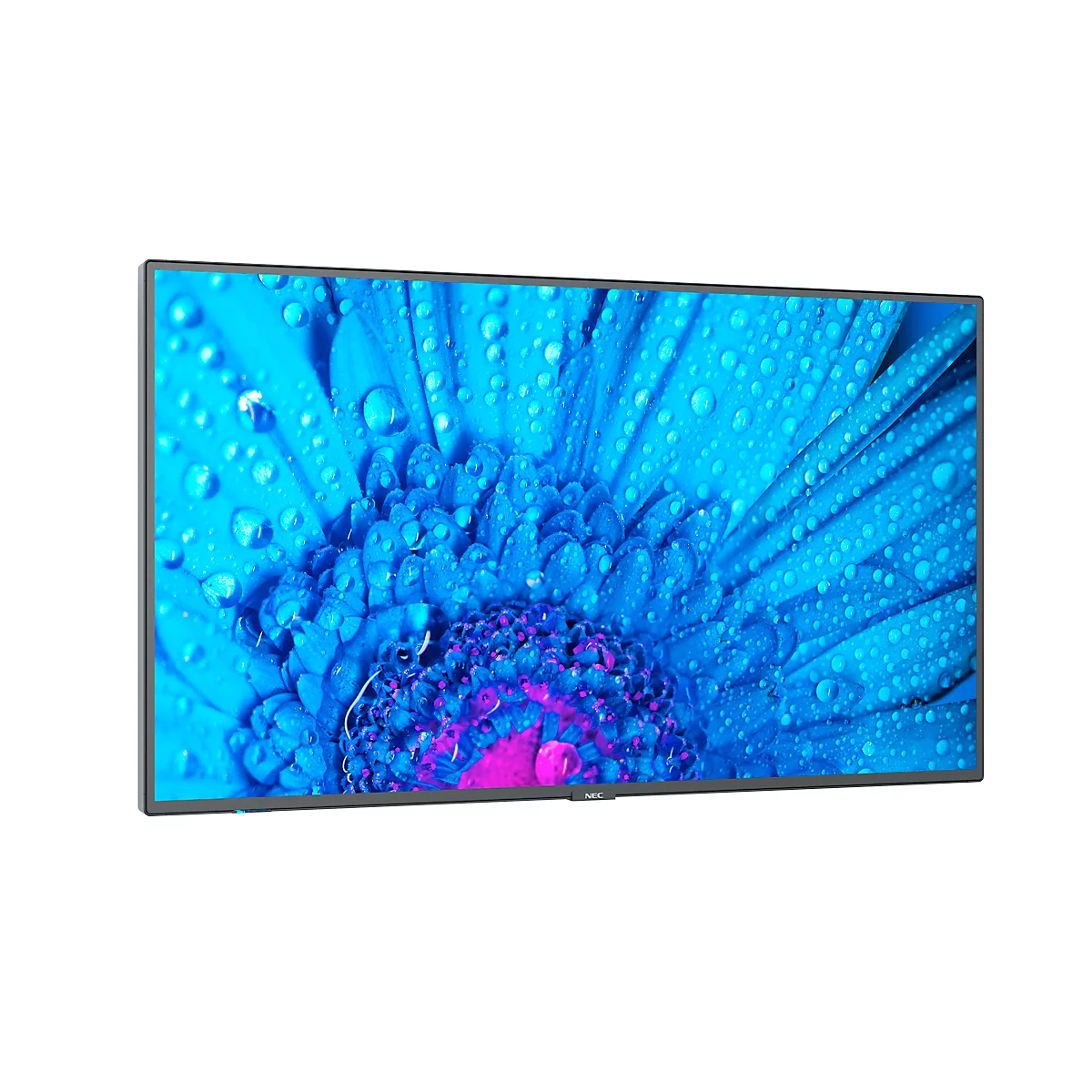 NEC Message Large Format Display MultiSync M431, LCD 43', 4K UHD mit 3840 x 2160 px, entspiegelt, IPS-Panel, 24/7 Certified Operation