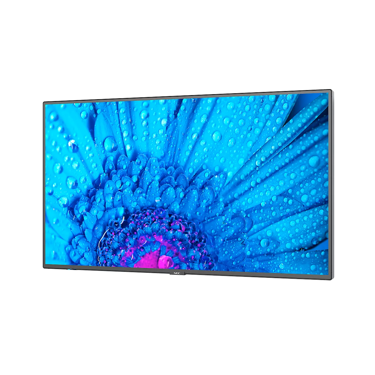 NEC Message Large Format Display MultiSync M431, LCD 43', 4K UHD mit 3840 x 2160 px, entspiegelt, IPS-Panel, 24/7 Certified Operation