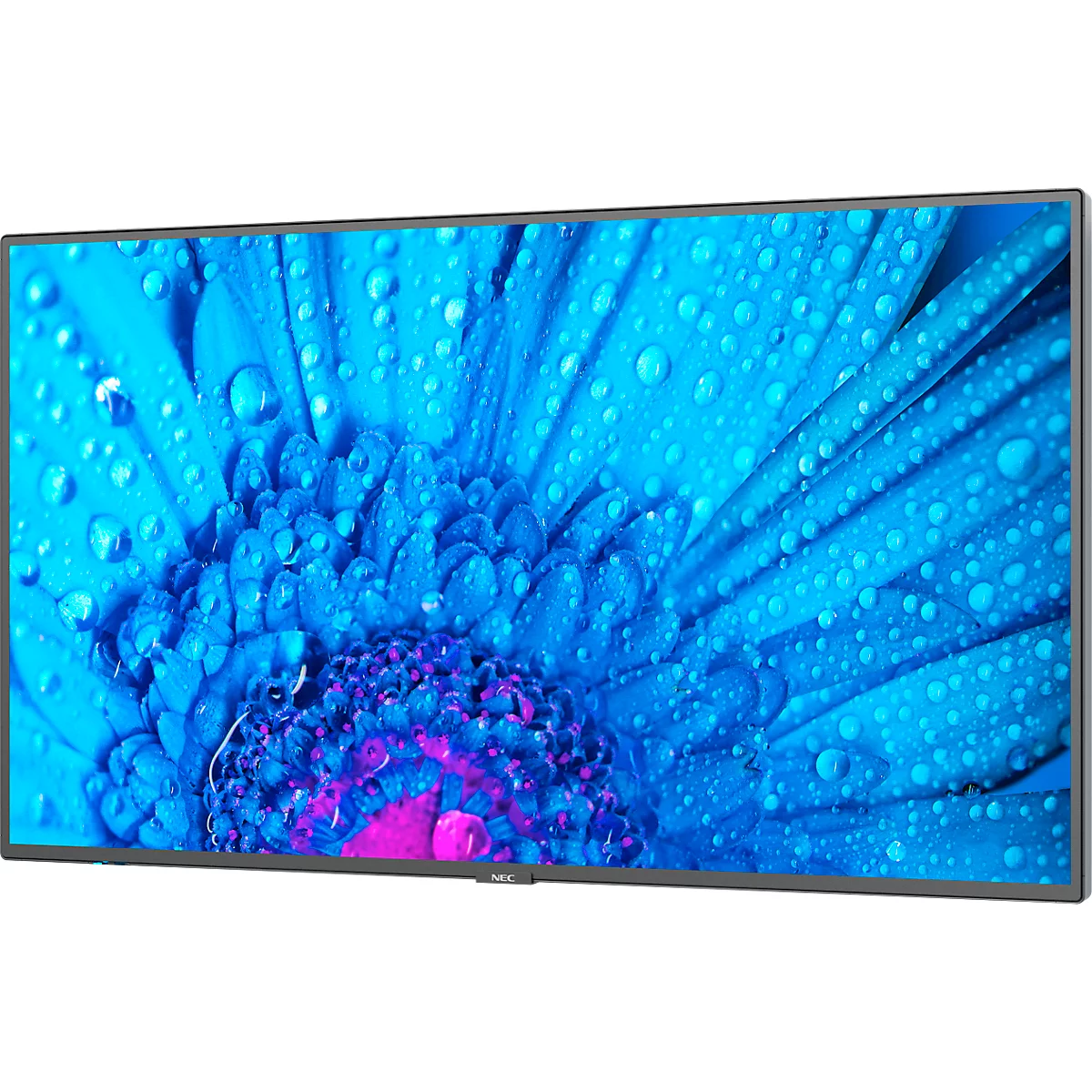 NEC MultiSync® Display M491 LCD 49' Message Large Format Display