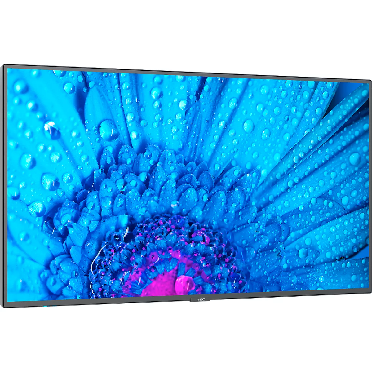 NEC MultiSync® Display M491 LCD 49' Message Large Format Display