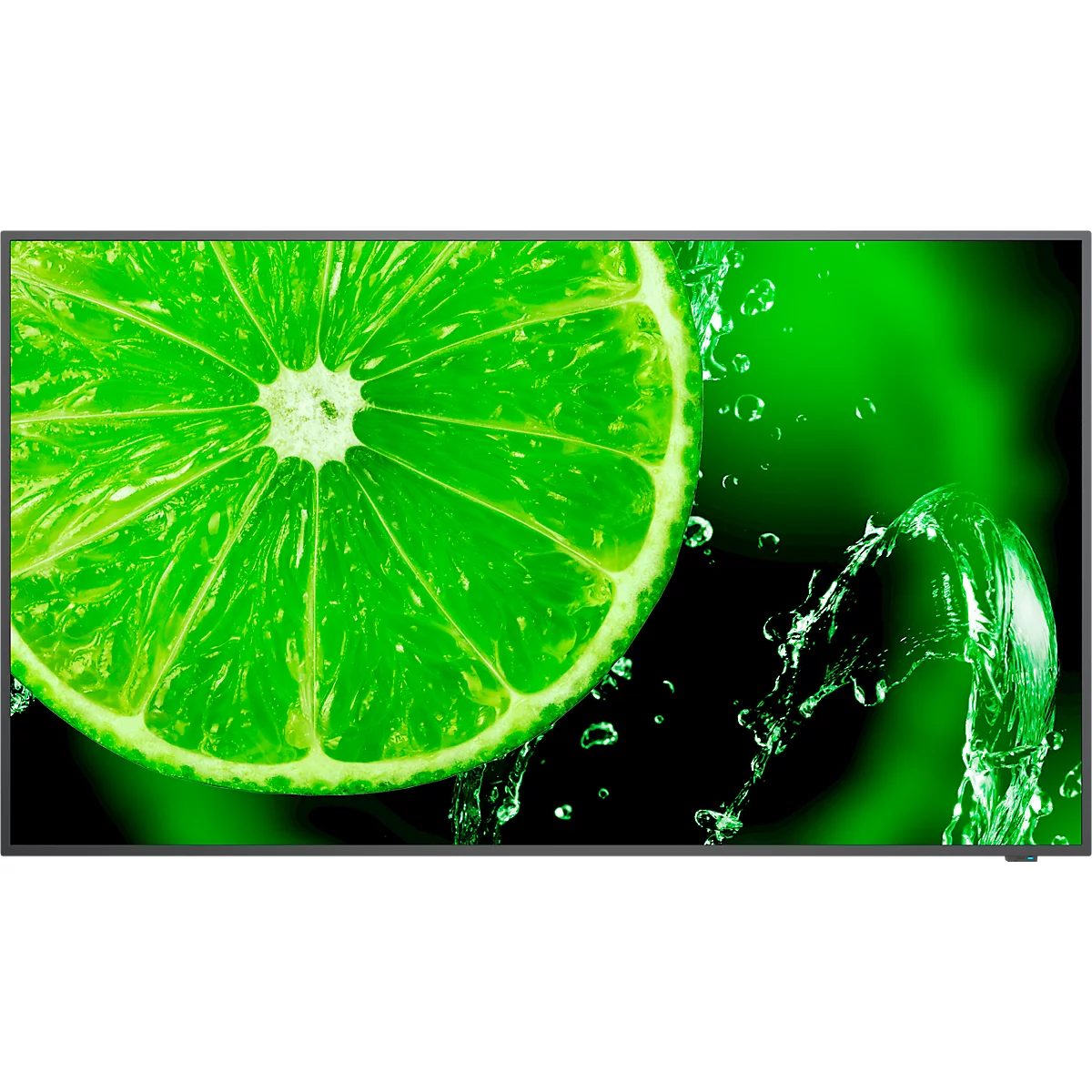 NEC MultiSync® E498 LCD 49' Essential Large Format Display, 4K UHD mit 3840 x 2160 px, IPS-Panel, schwarz