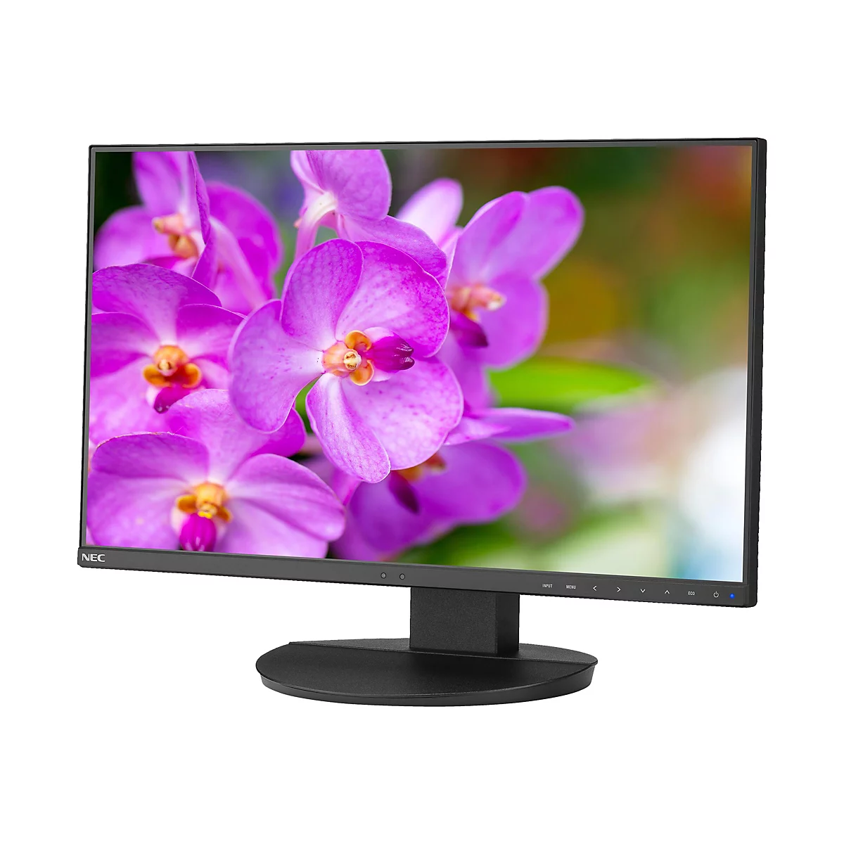 Ein Computermonitor mit einem Bildschirm, der einen Nahaufnahmetitel von pinken Orchideenblüten vor einem verschwommenen Hintergrund zeigt.