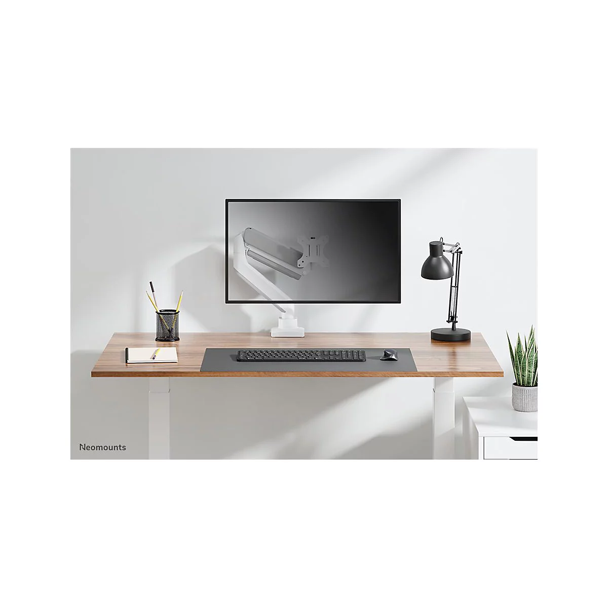 Schreibtisch mit Monitor, Lampe, Tastatur, Maus und Pflanzen. Der Bildschirm zeigt Halterung.