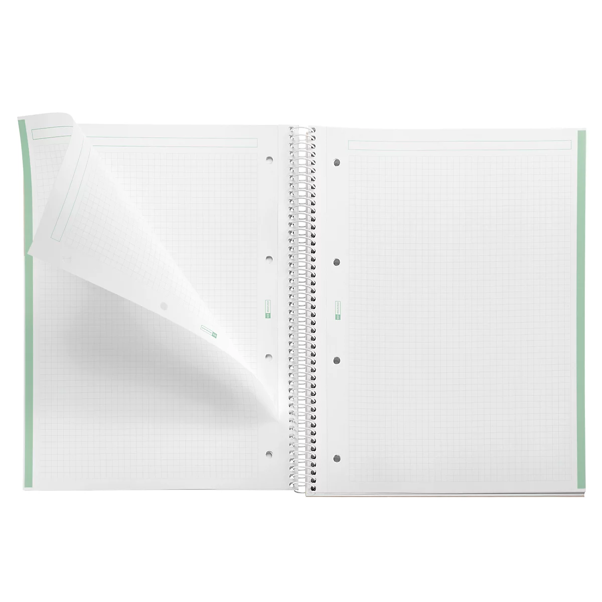 Notizbuch Miquelrius Emotions 1, A4, 80 Blatt kariert und blickdicht, gelocht, Spiralbindung, Hardcover, mintgrün