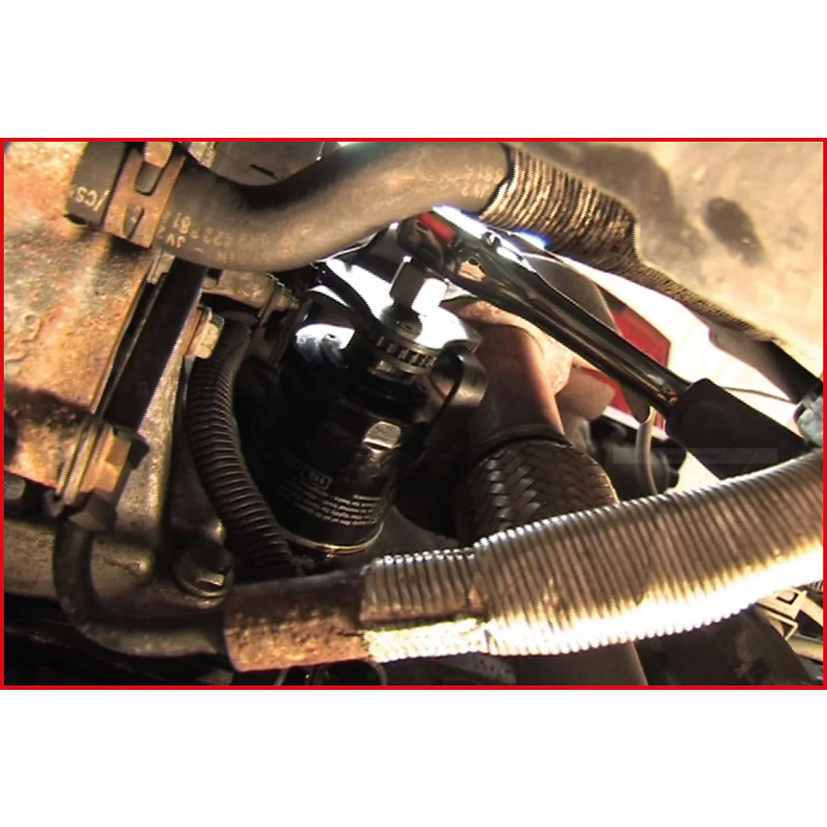 Nahaufnahme eines Ölfilters im Motorraum eines Autos, umgeben von Schläuchen und Metallteilen.