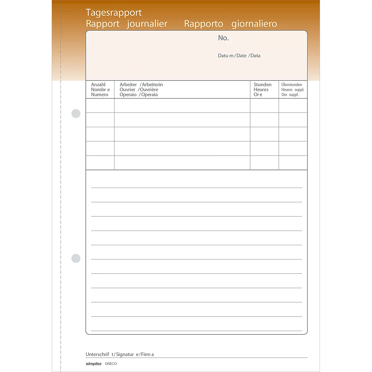 White daily report form with tables and headings in multiple languages. Brown-orange title area.