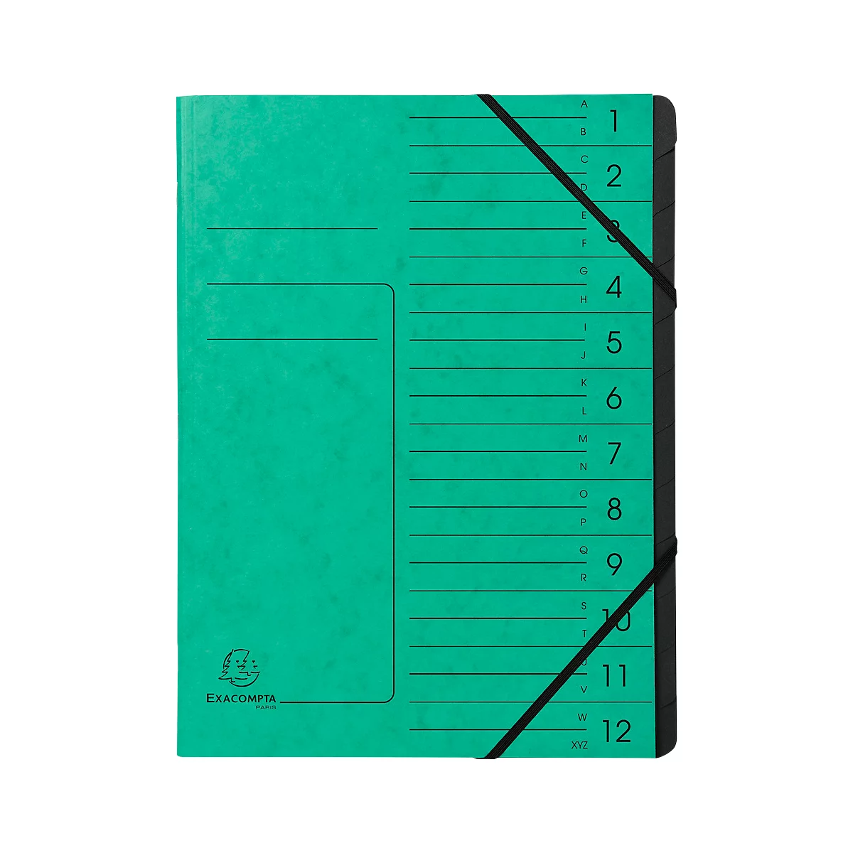 Organisateur FALKEN, format A4, fermeture élastique, carton, 12 compartiments, vert