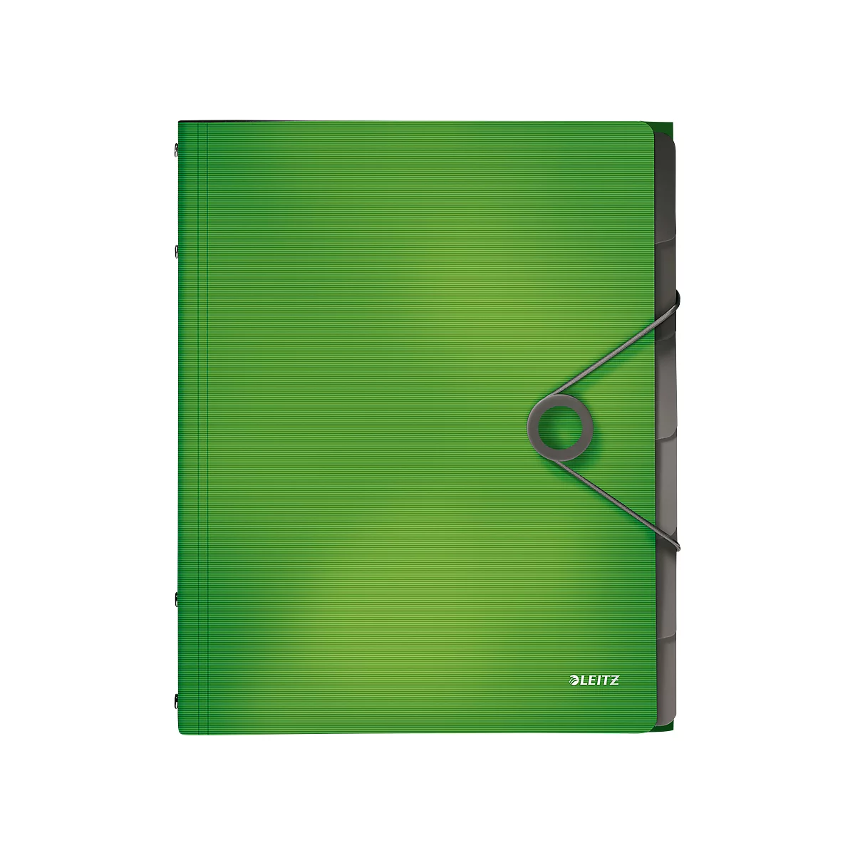 Organisateur Solid LEITZ®, format A4, 3 couvertures de protection, 6 compartiments, PP, vert clair