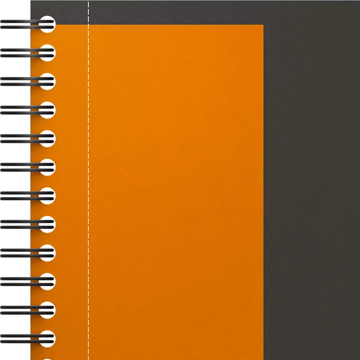Oxford International Activebook, 80 pagina's, DIN B5, vierkant, met marge, Optik Paper®, dubbele spiraalbinding