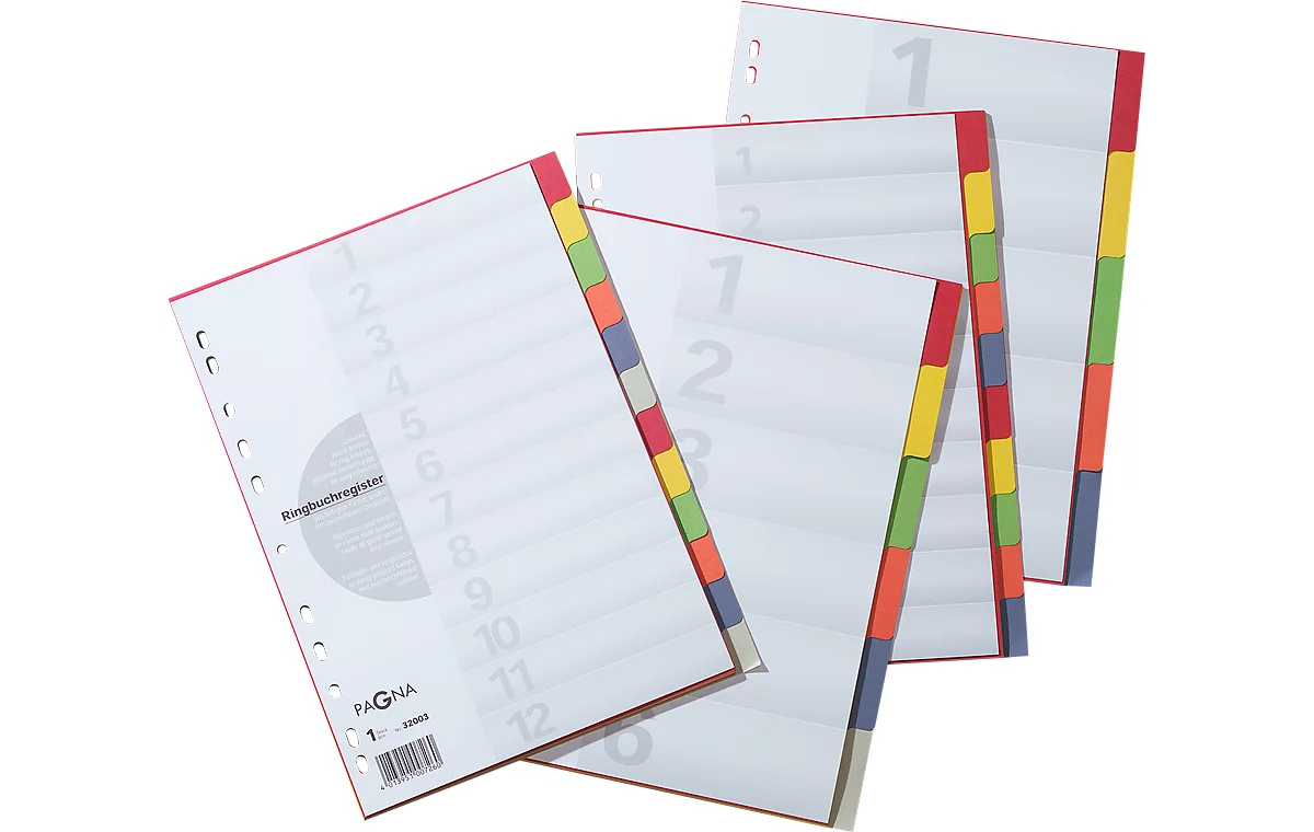 PAGNA Kartonregister mit Deckblatt, zur freien Verwendung, 10 Blätter, 5-farbig