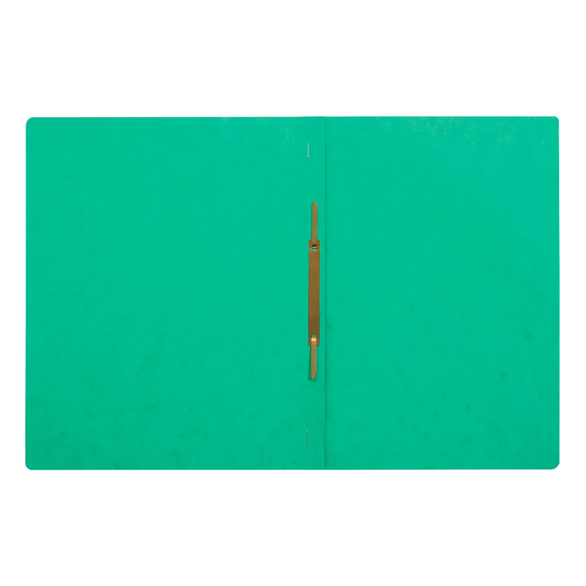 Open green file folder with gold clasp.