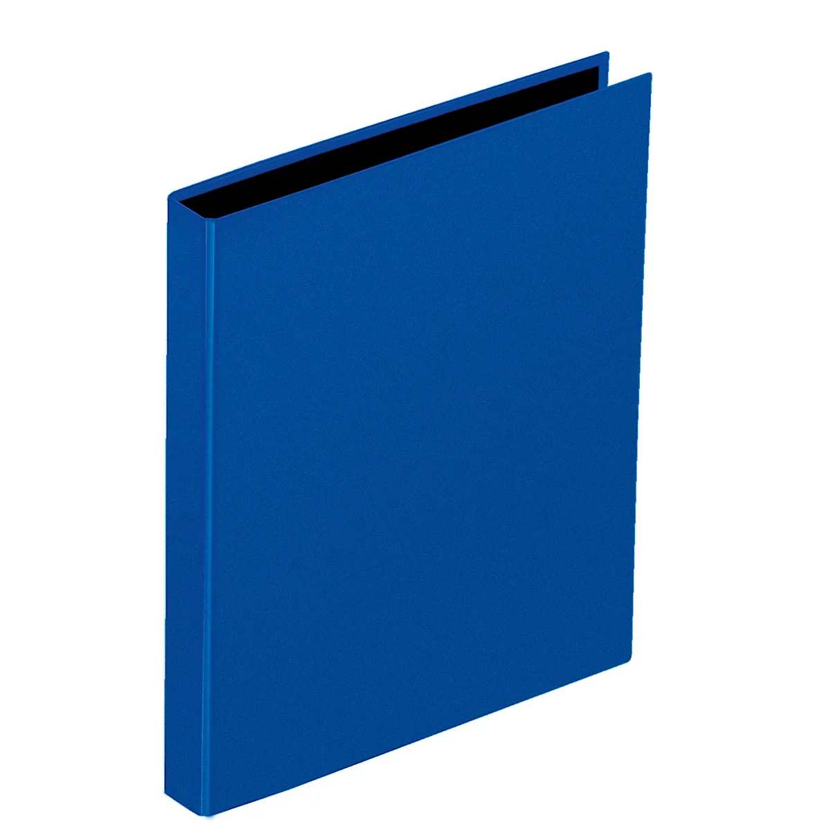 PAGNA Ringbuch, 2er-Mechanik, DIN A4, Rückenbreite 35 mm, 1 Stück, blau
