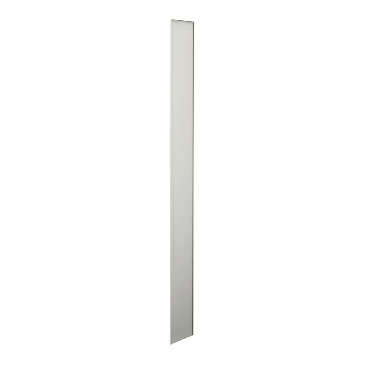 Panneau d'extrémité latéral, pour rayonnage modulaire 500 T PROGRESS, H 2600 x P 300 mm
