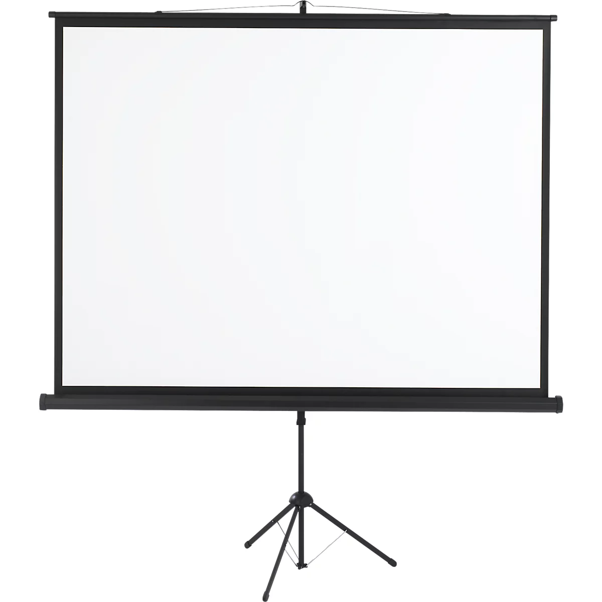 Una pantalla de proyección blanca sobre un trípode negro. La pantalla está desplegada, el fondo es blanco.