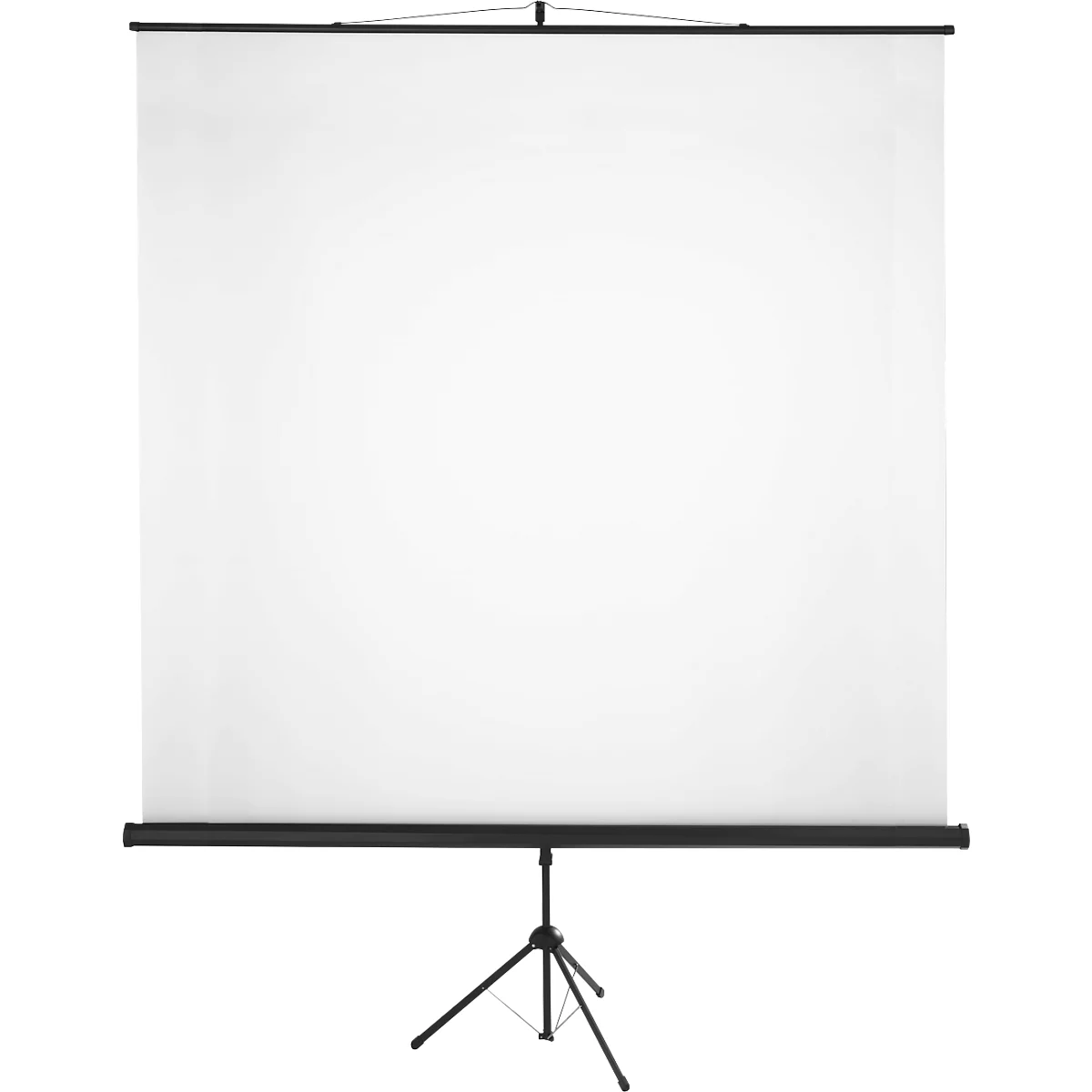 Pantalla de proyección sobre trípode. Tela blanca, marco y soporte negros, aislados sobre fondo blanco.