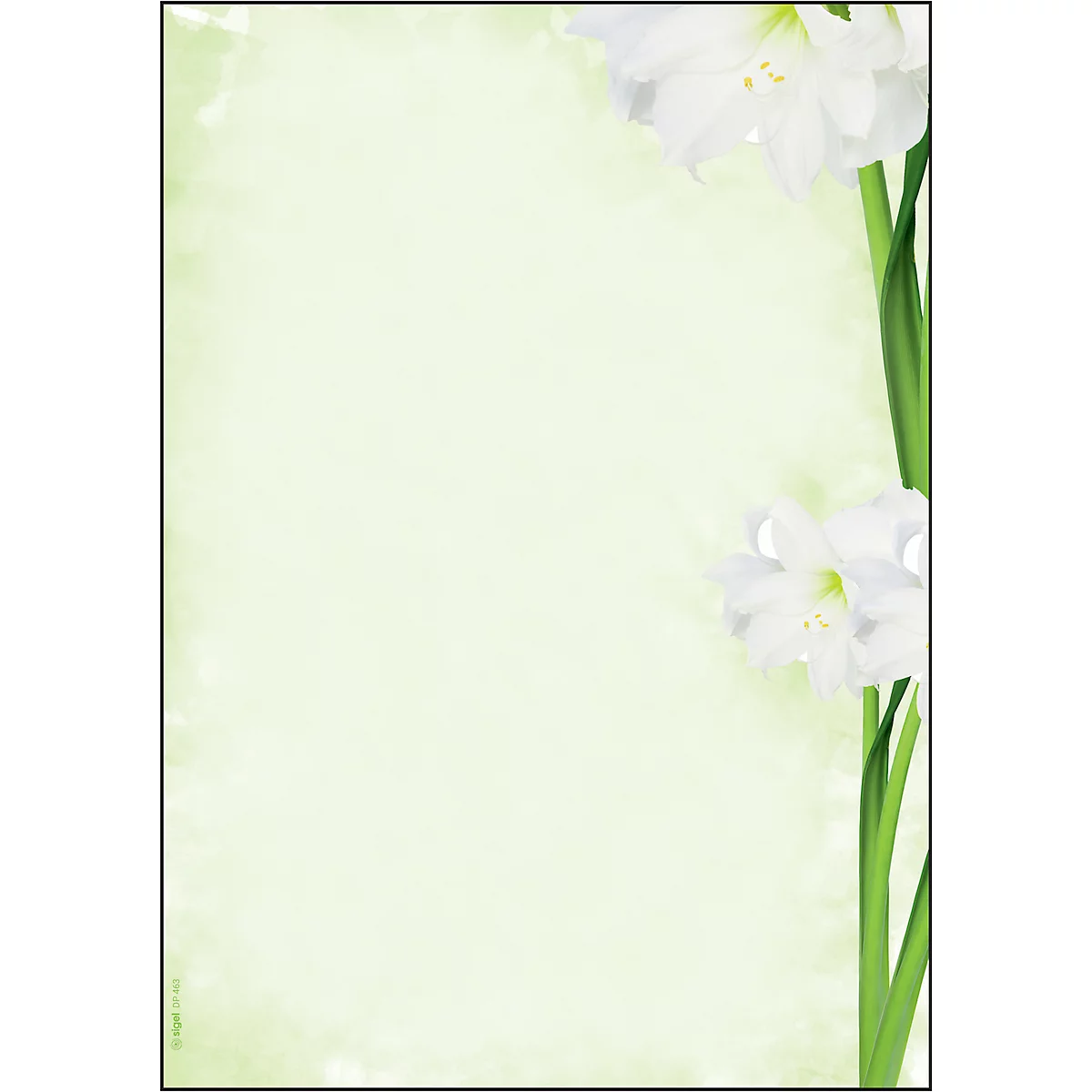 Papier à motif fleur verte Sigel, A4, 90 g/m², Motif fleuri, 25 feuilles