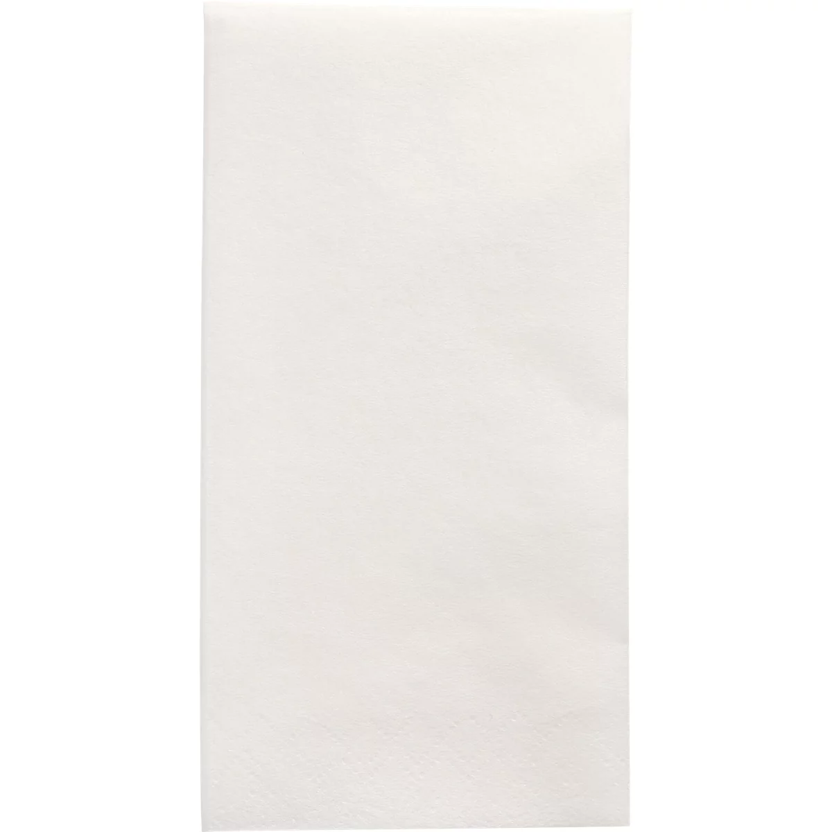 Een rechthoekig, wit vel papier, licht gekreukt en getextureerd.