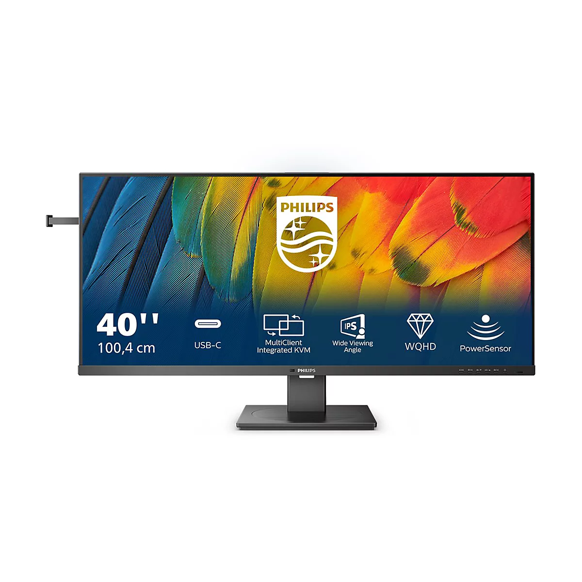 Ein 40-Zoll-Philips-Monitor mit bunten Papageienfedern als Hintergrund. Die AnschlÃ¼sse sind am unteren Rand abgebildet.