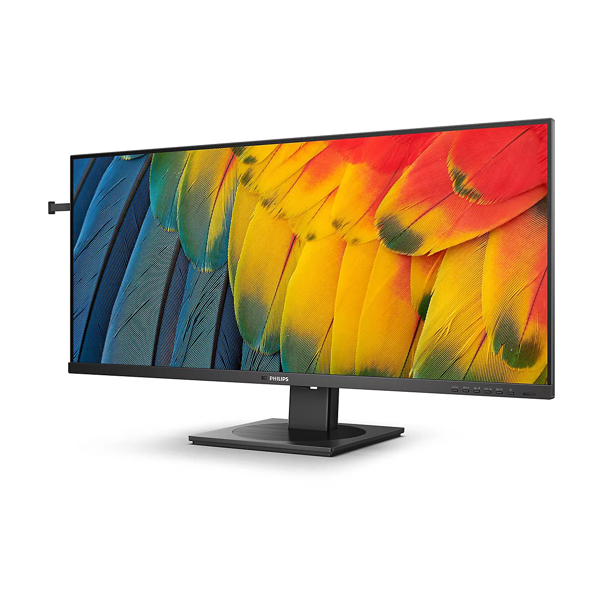 Schwarzer Monitor, der einen bunten Papagei zeigt. Der Monitor hat einen schwarzen Rahmen und einen schwarzen StandfuÃŸ.