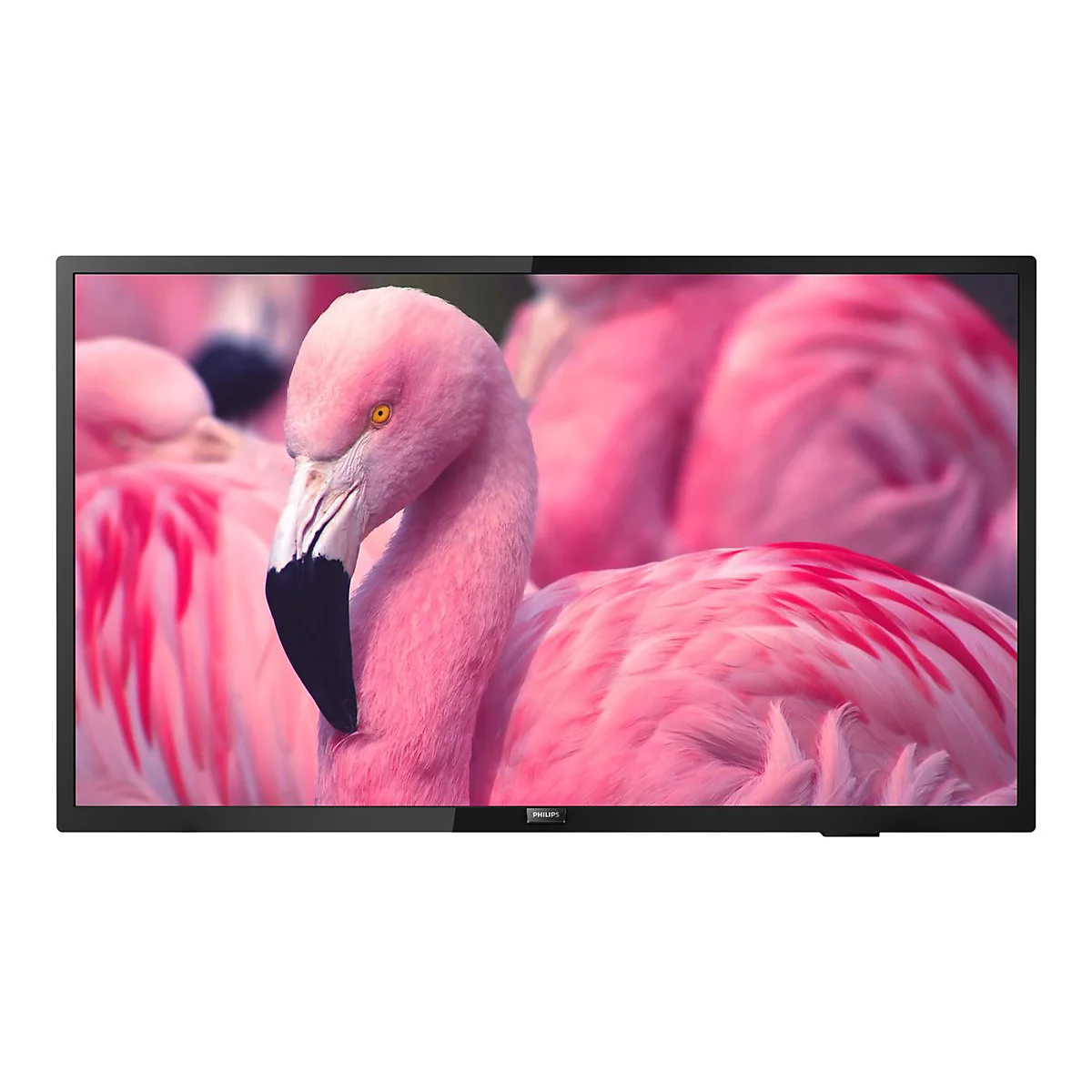Philips 43HFL4014 - 108 cm (43') Diagonalklasse Professional PrimeSuite LCD-TV mit LED-Hintergrundbeleuchtung - Hotel/Gastgewerbe - Smart TV 1920 x 1080 - direkt beleuchtete LED - Schwarz