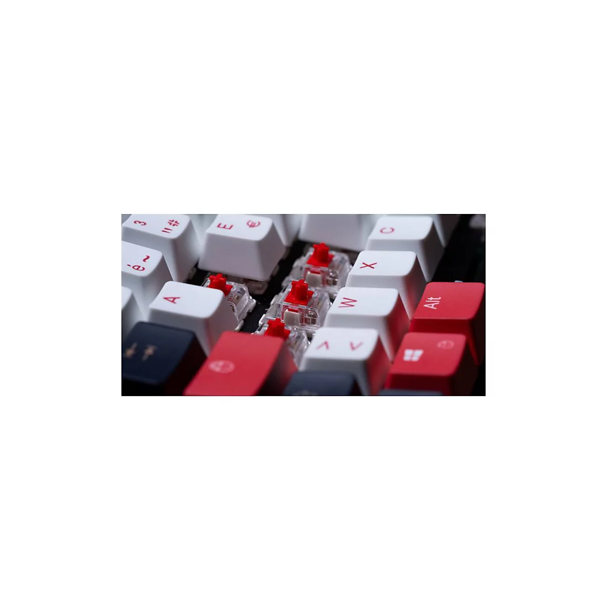 Nahaufnahme einer mechanischen Tastatur mit weißen und roten Tasten. Rote Schalter sind im Fokus. Einige Tasten sind mit Buchstaben und Symbolen beschriftet.
