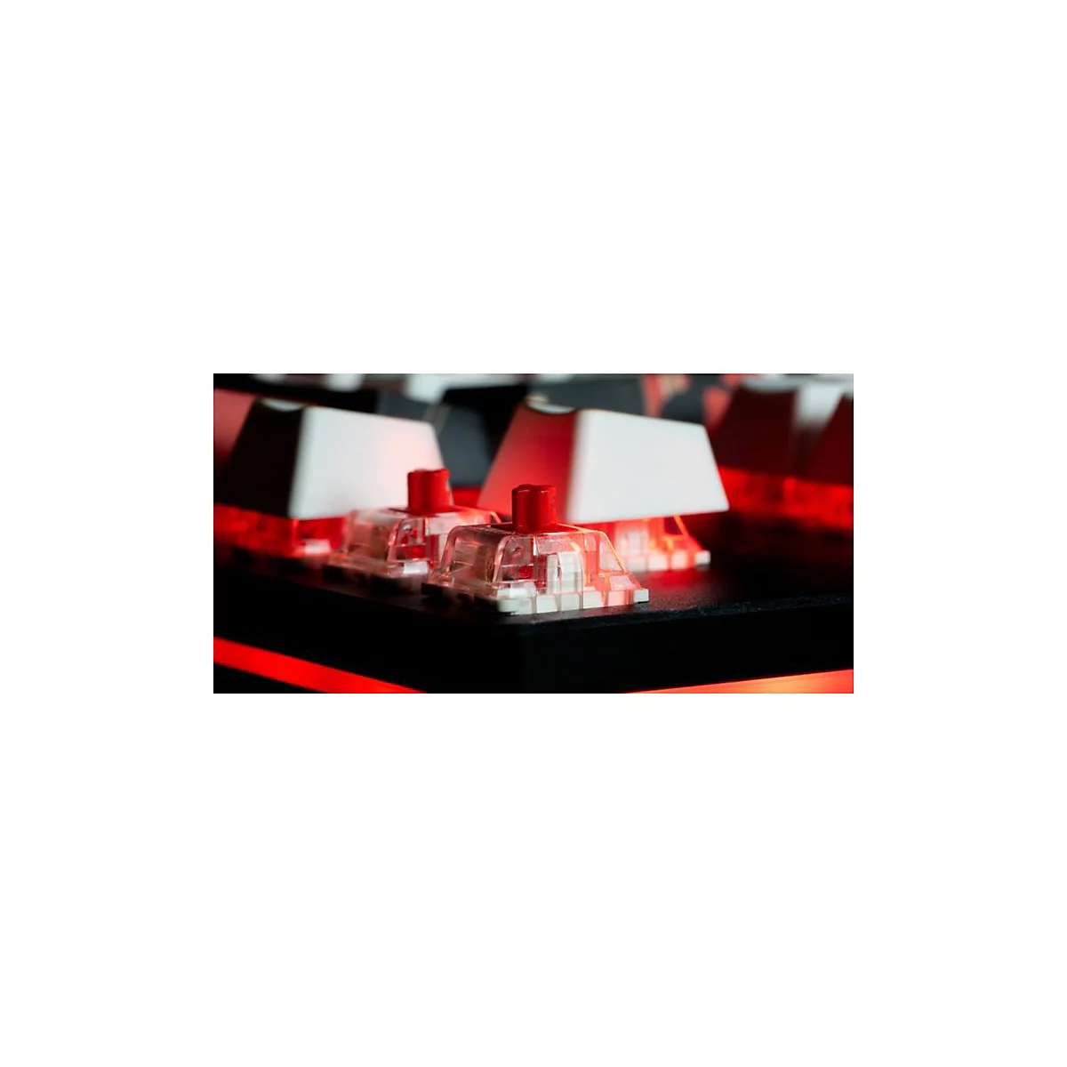 Nahaufnahme einer mechanischen Tastatur. Weiße Tasten auf roten Schaltern, rote LED-Beleuchtung.