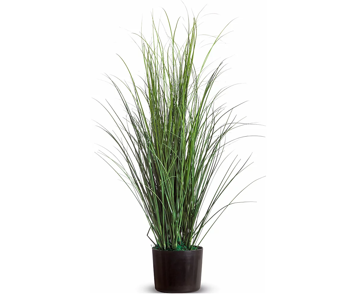 Planta artificial meet by Paperflow Grass, H 800 mm, incl. maceta de plástico, PVC, verde
