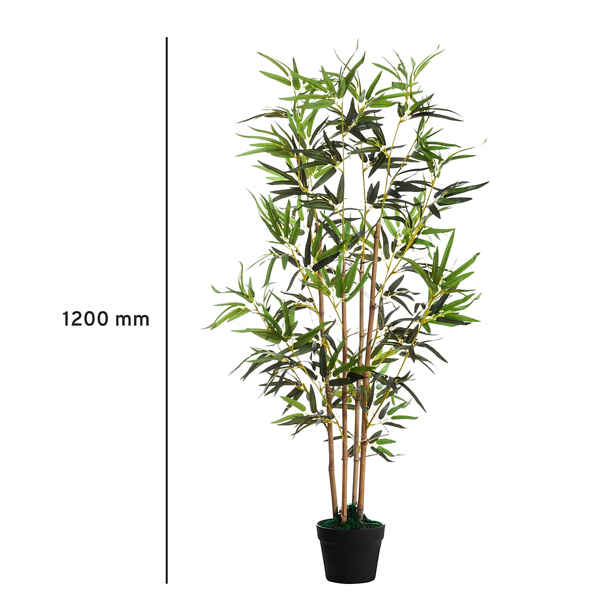 Plante de bambou en pot, 1200 mm de haut. Feuilles vertes et tiges marron. Le pot est noir.