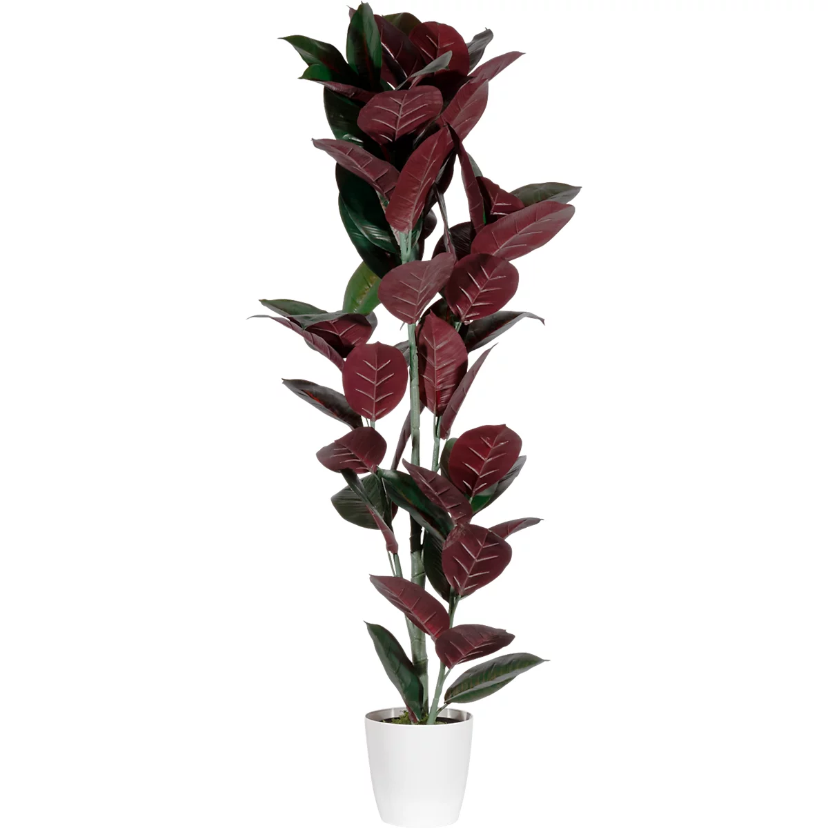 Plante artificielle meet® by Paperflow Arbre en caoutchouc, pot en plastique inclus, H 1200 mm, PEVA