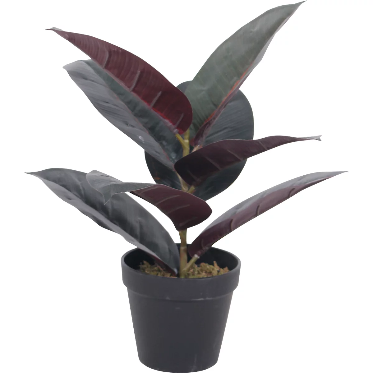 Plante artificielle meet® by Paperflow Arbre en caoutchouc, pot en plastique inclus, H 360 mm, PEVA
