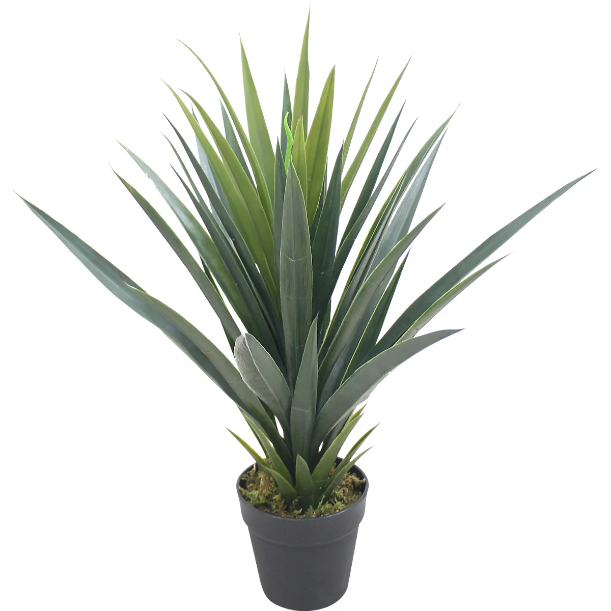 Plante artificielle meet® by Paperflow Palmier yucca, pot en plastique inclus, H 600 mm, PE