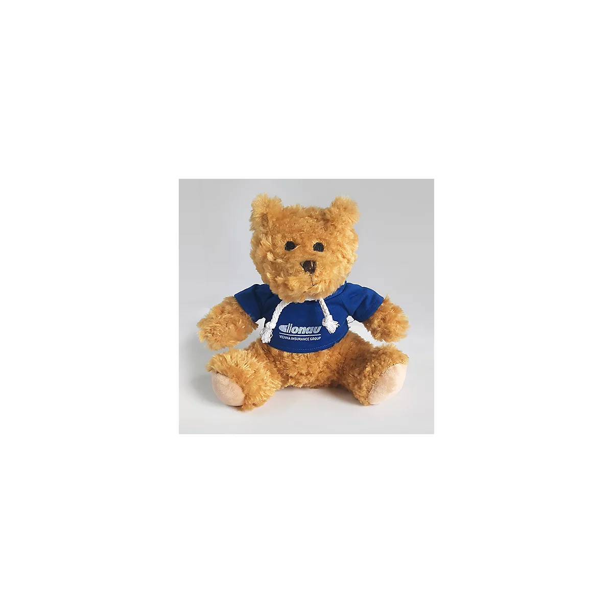 Plüsch Teddy