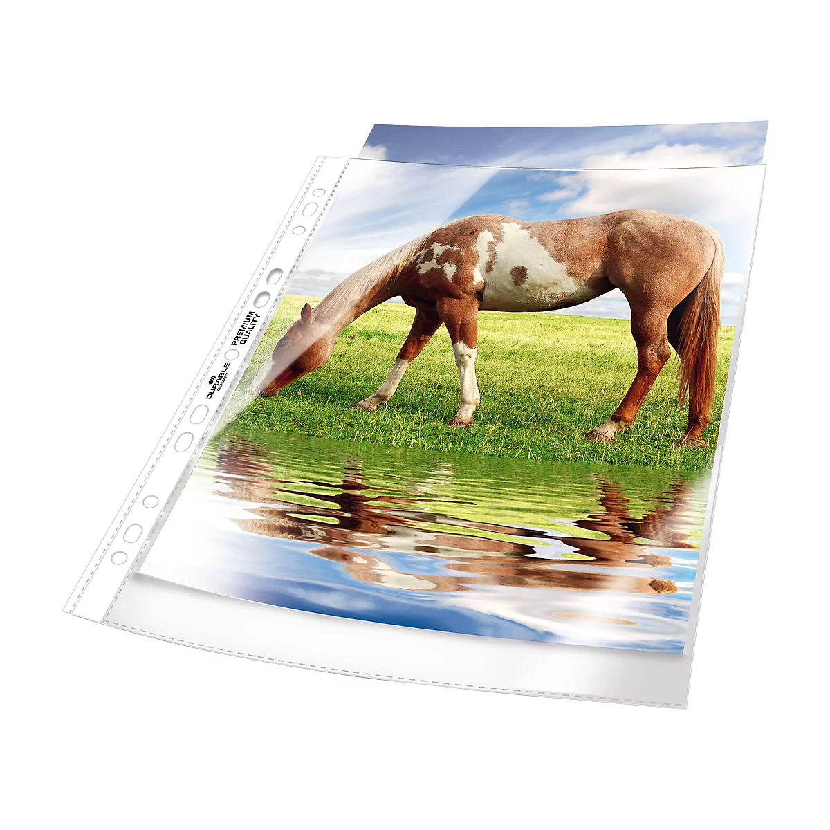 Pochettes perforées Premium DURABLE, format A4, ouverture sur le dessus, 50 p., lisse, transparent