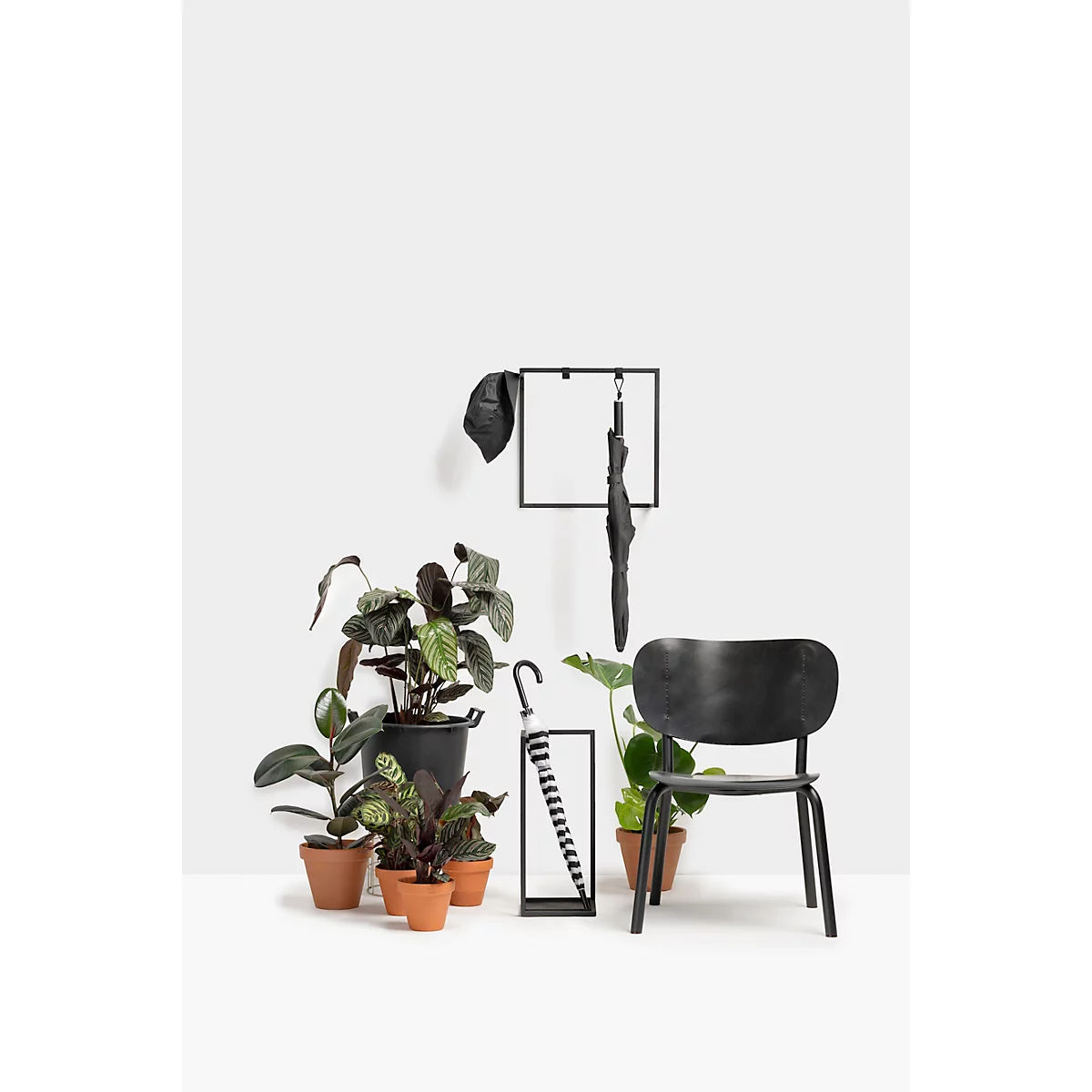 Chaise noire et porte-manteau avec parapluie et chapeau à côté de plantes en pot sur fond blanc.