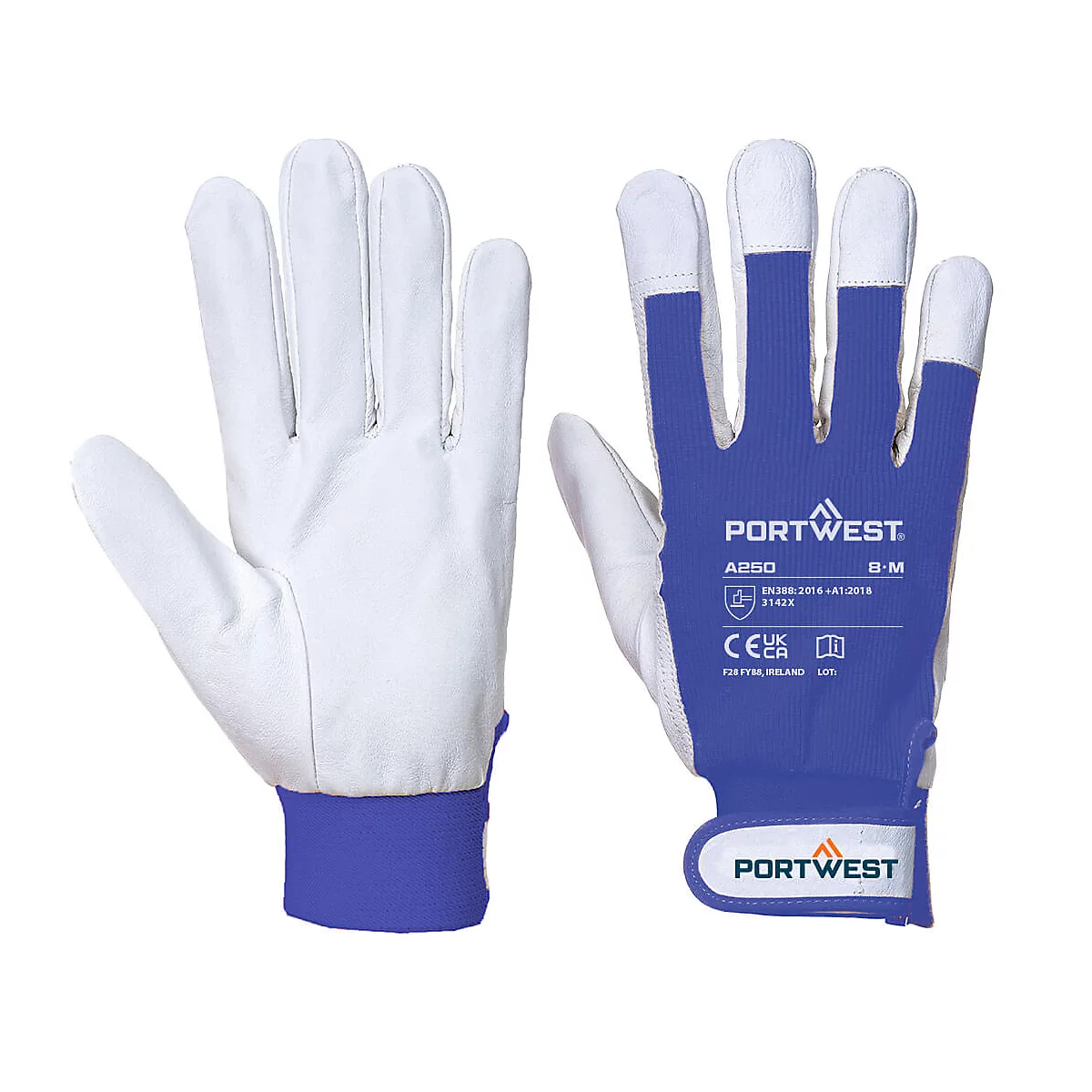 Zwei weisse Arbeitshandschuhe mit blauen Akzenten. Der Handrücken und die Manschette sind blau, die Handfläche und Finger weiss.