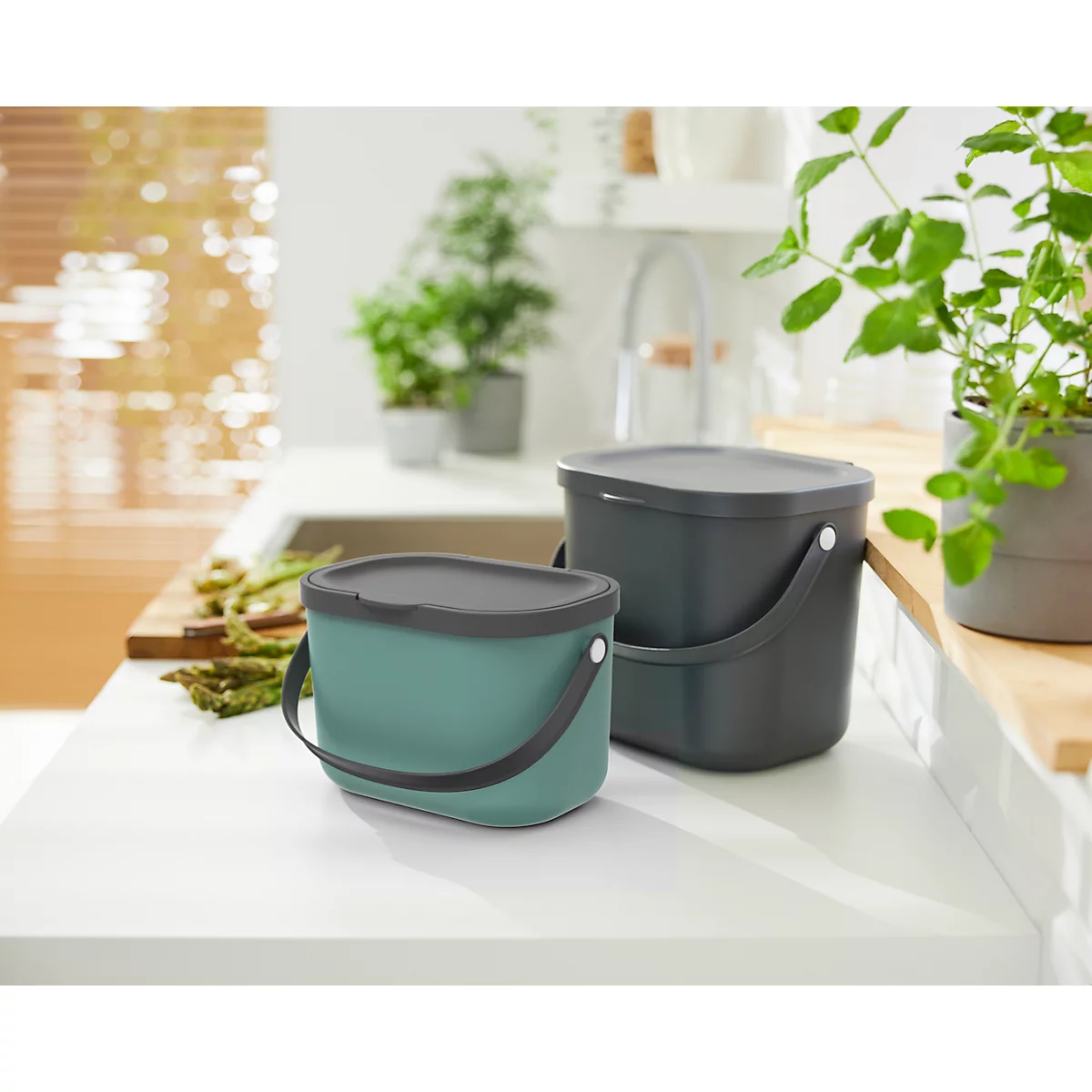 Poubelle bio ALBULA, capacité 3,2 litres, poignée en arceau, plastique recyclé, L 172 x P 222 x H 147 mm, vert