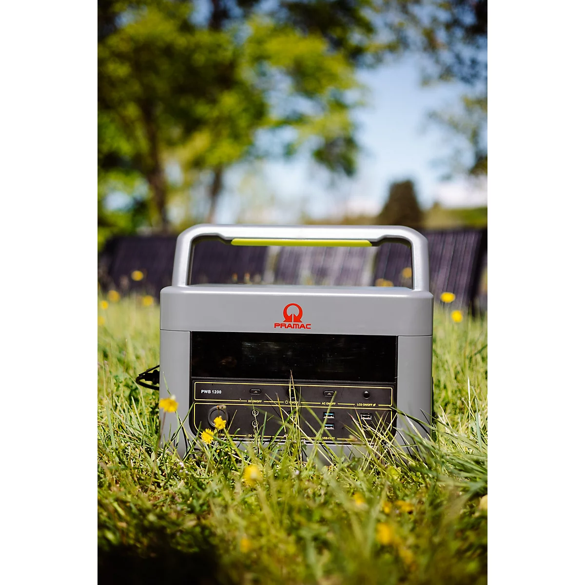 Eine graue Pramac Powerstation steht in einer Frühlingswiese mit gelben Blumen unter freiem Himmel.