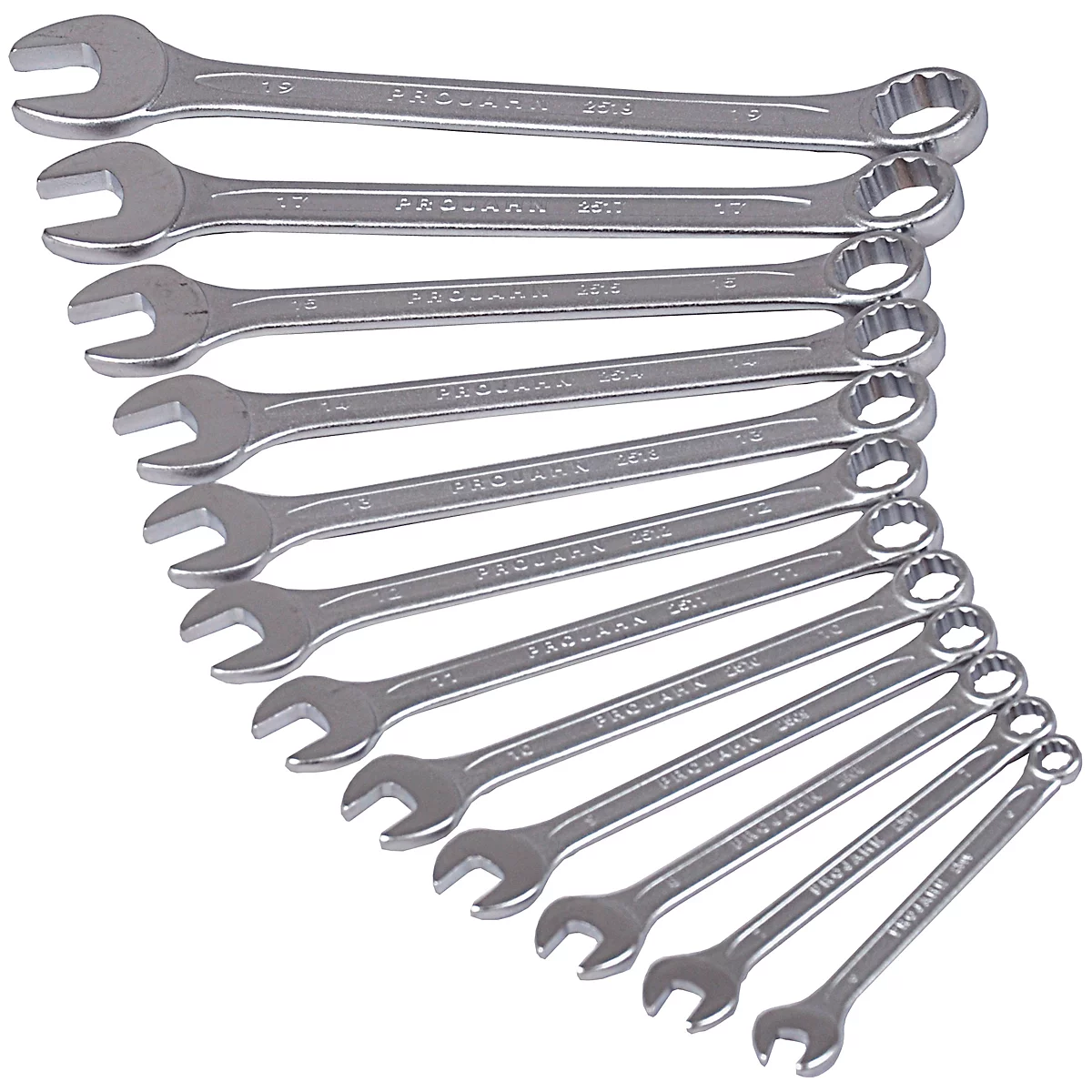Projahn Ringmaulschlüsselset, 12-teilig, SW 6-19 mm, CV-Stahl, Sechskant; Zwölfkant