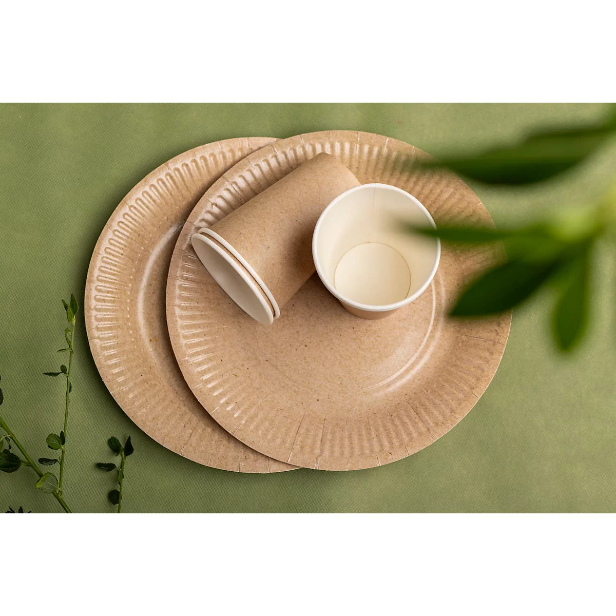 Deux assiettes en carton et un gobelet en carton, sur fond vert, vue de dessus, feuillage légèrement flou à droite.