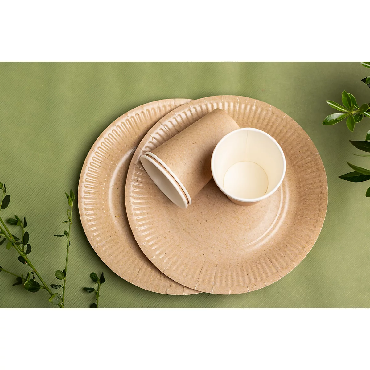 Deux assiettes en carton et une tasse, plus une tasse vide sur fond vert. Feuilles sur le bord.