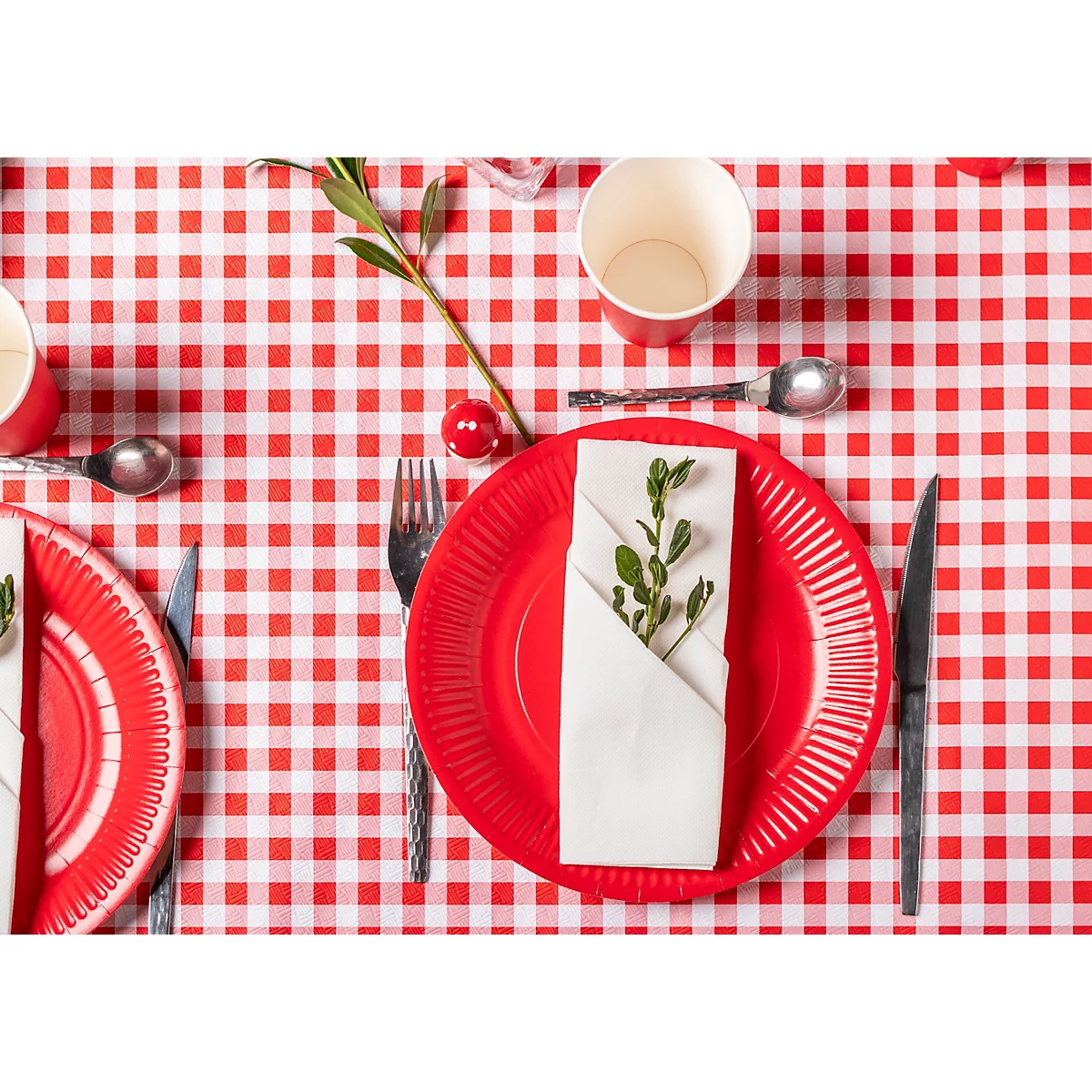 Draufsicht auf einen Picknicktisch mit rotem karierten Tischtuch. Auf dem Tisch stehen rote Pappteller, Besteck, Servietten und Pappbecher.