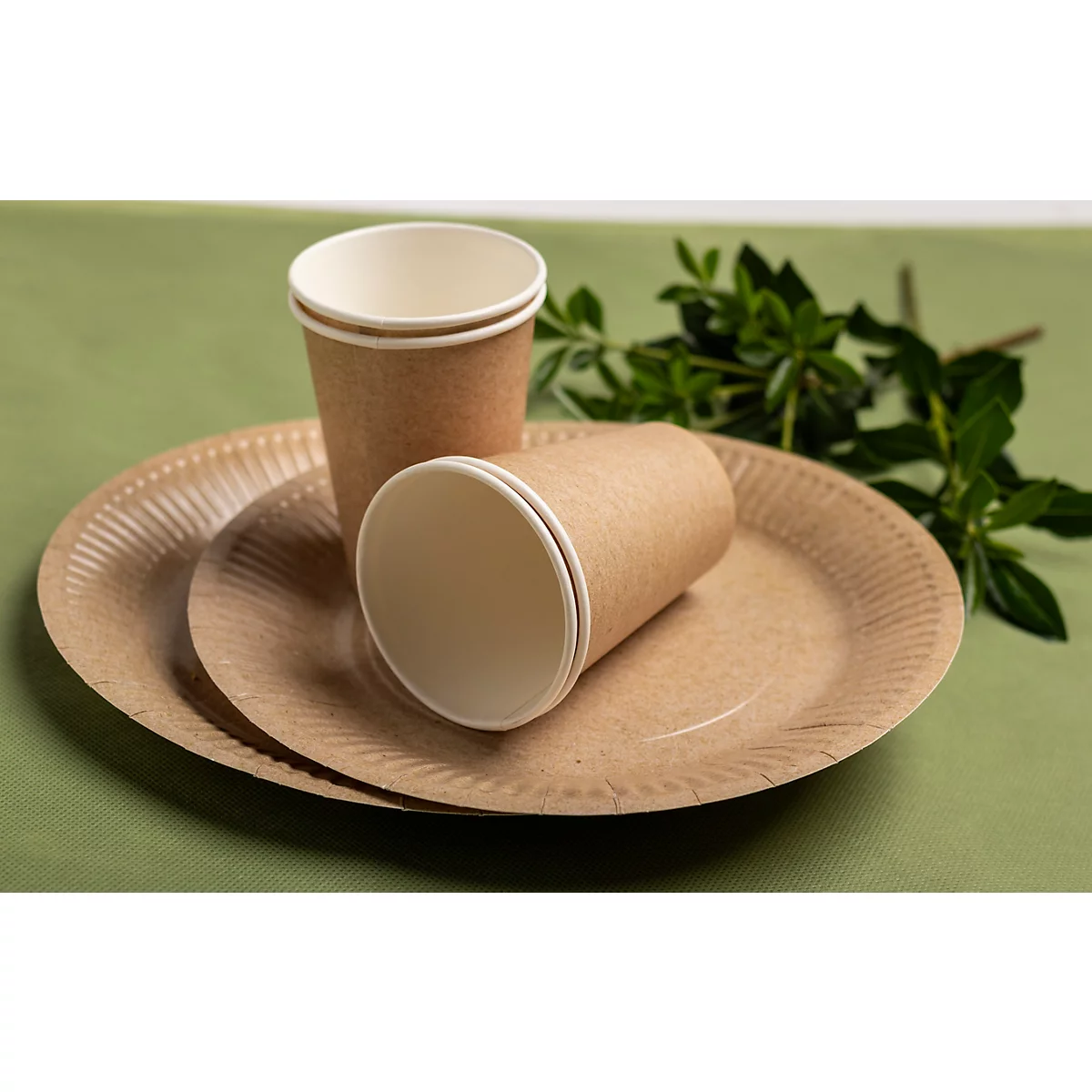 Zwei Pappbecher und zwei Pappteller auf einem grünen Tuch. Rechts daneben grünes Blattwerk.