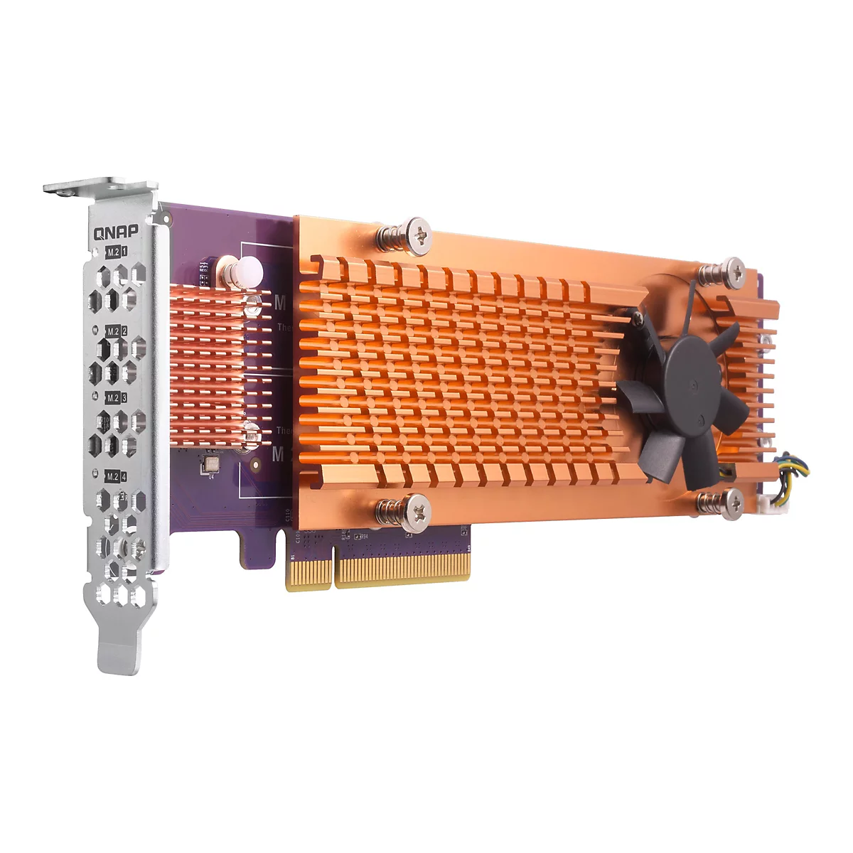 Gros plan sur un composant informatique, une carte QNAP M.2. Elle possède un dissipateur thermique avec un ventilateur fixé à une carte de circuit imprimé violette. La carte affiche également les emplacements M.2.