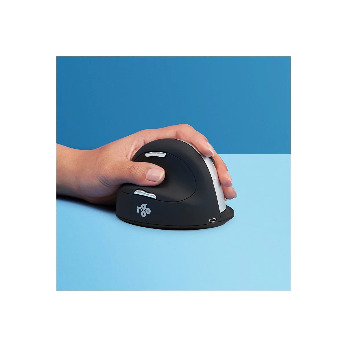 R-Go HE Mouse - Maus - 2.4 GHz