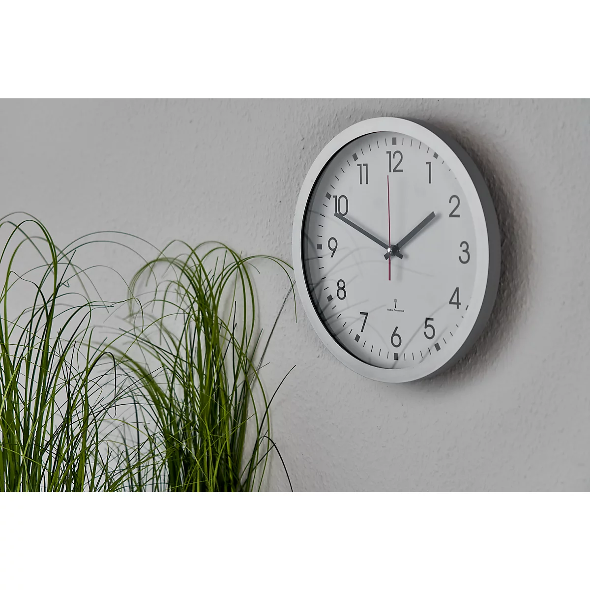 A silver wall clock with black numerals and hands hangs on a gray wall. Green grasses are visible on the left of the image.